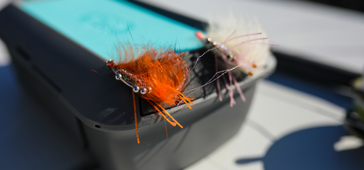 Toadfish Dry Box | Toadfish