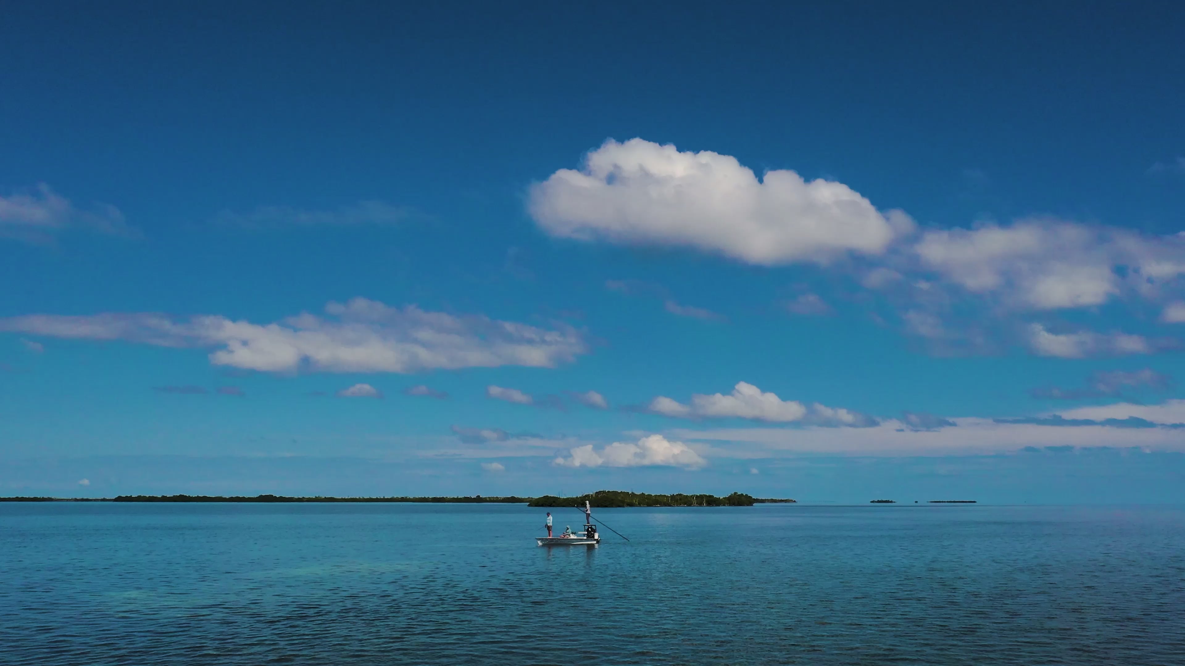 Load video: Toadfish | Inshore Fishing Series