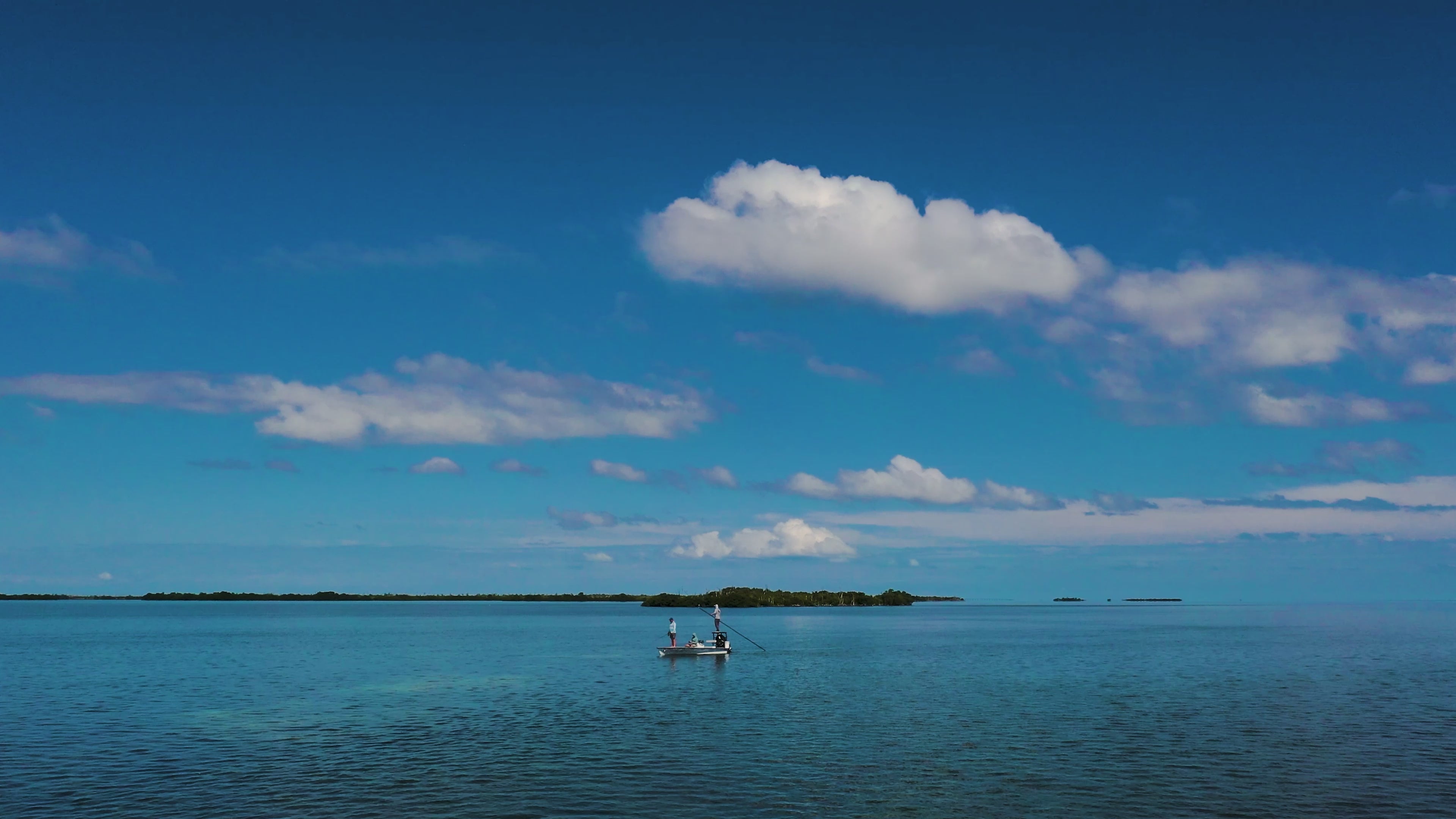 Load video: Toadfish | Inshore Fishing Series