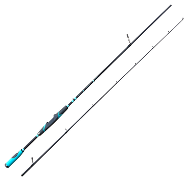 Combo Spinning Rod