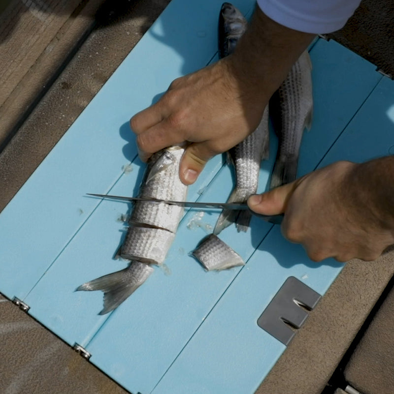 Stowaway Folding Cutting Boards-L | XL Cutting Boards Toadfish 