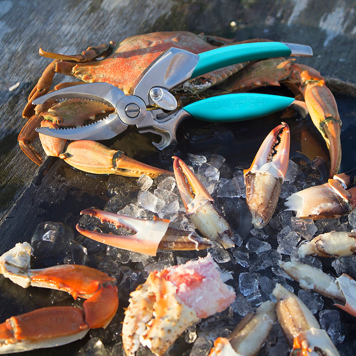 Crab Claw Cutter | Toadfish Outfitters Seafood Tools & Kitchen