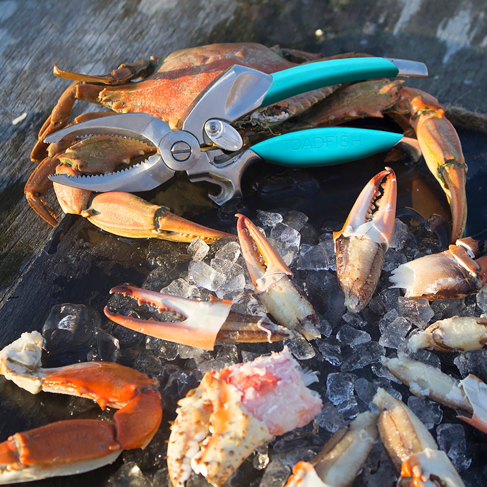 Crab Claw Cutter Kitchen Tools & Utensils Toadfish 