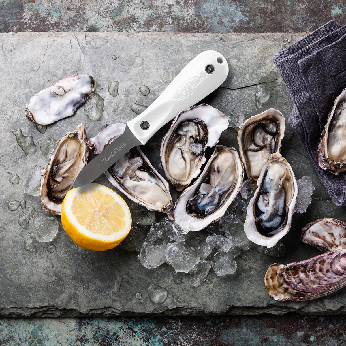 Professional Edition Oyster Knife Kitchen Tools & Utensils Toadfish 